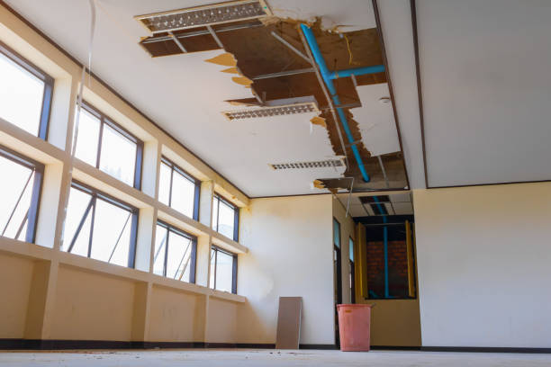 Best Mold removal after water damage  in Florissant, MO