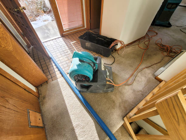 Best Fire Damage Restoration  in Florissant, MO