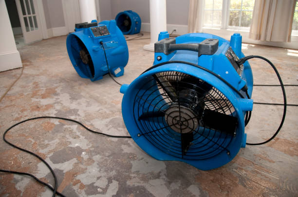 Best 24/7 water damage repair  in Florissant, MO