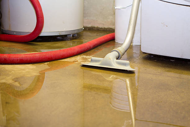 Best Local water damage restoration  in Florissant, MO