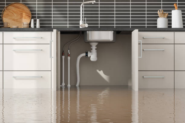 Best Carpet water damage restoration  in Florissant, MO